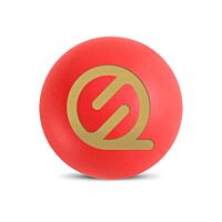 Petanqueshop fluorescent jack