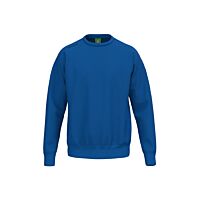 Sweatshirt TS - Unisexe - bleu royal