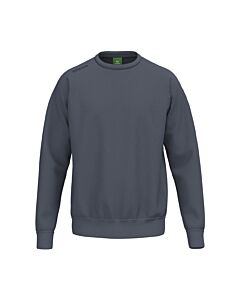 Sweatshirt TS - Unisexe - gris