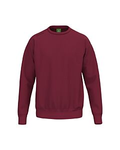 Sweatshirt TS - Unisexe - new bordeaux